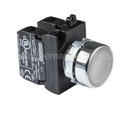 Кнопка нажимная круглая белая CM102DB (1НО+1НЗ) | код CM102DB | EMAS Кнопка нажимная круглая белая CM102DB (1НО+1НЗ) | код CM102DB | EMAS