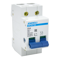 Выключатель нагрузки HL32-100 2P 40A (ANDELI) | код ADL04-040 | ANDELI