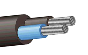 Кабель АсВВГ 2х50 мк-1 Кабель АсВВГ 2х50 мк-1