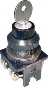 Выключатель кнопочный КУ-200161 | код A8119-80080195 | ЧЭАЗ Выключатель кнопочный КУ-200161 | код A8119-80080195 | ЧЭАЗ