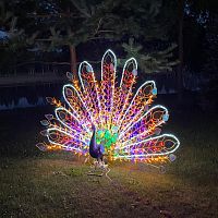 Декоративная 3D Павлин радужный 200 см | код 501-655 | NEON-NIGHT