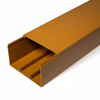 Кабель-канал бук 2-й замок 100х60 мм (16м/уп) Промрукав | код PR.025447 | ПРОМРУКАВ