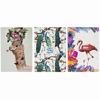 Тетради 40 л. в клетку обложка SoftTouch, НАБОР 3 шт., бежевая бумага 70 г/м2, сшивка, А5 (147х210 мм), SUMMER, BRAUBERG, 403793 | код 403793 | BRAUBERG