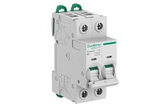 Автоматический выключатель (АВ) B 1A 2P 10kA 400В Systeme9 | код S9F31201 | Systeme Electric