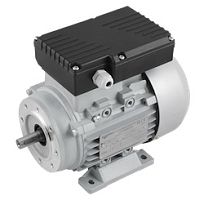 Электродвигатель однофазный асинхронный (INNORED) (0,12х1400) B34, 90*11мм, 220В, IP55 | код RMYY631-4 B34 | INNORED