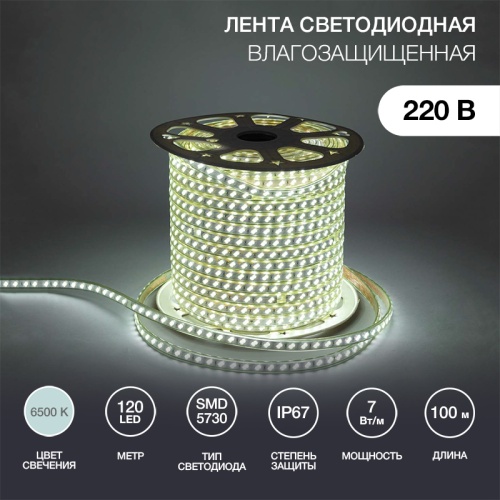 LED лента 220 В, 6.5x17 мм, IP67, SMD 5730, 120 LED/m, цвет свечения белый, 100 м | код 142-703 | NEON-NIGHT