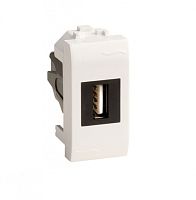 USB 2.0 розетка, Brava, белая, 1 мод. | код 76200B | DKC