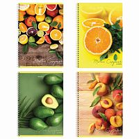 Тетрадь А4, 80 л., BRAUBERG, гребень, клетка, обложка картон, Фрукты , 404051 | код 404051 | BRAUBERG