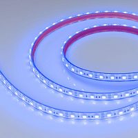 Лента герметичная RTW-PFS-B60-13мм 12V Blue (14.4 W/m, IP68, 5060, 5м) (14.4 Вт/м, IP68) | код 36280 | Arlight