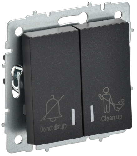 BRITE Выключ. 2-кл. с инд. отел. 10А ВС10-2-9-БрЧ черн. IEK | код BR-V20-2-10-K02 | IEK