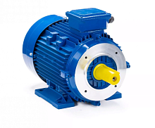 Электродвигатель 112 M4-SDN- IM B34 4/1500 Китай (ESQ) | код 01.05.219847 | ESQ