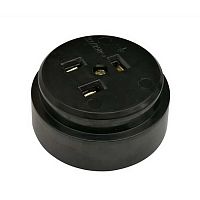 РШ 2P+PE 250В черная | код 116391 | Ruichi