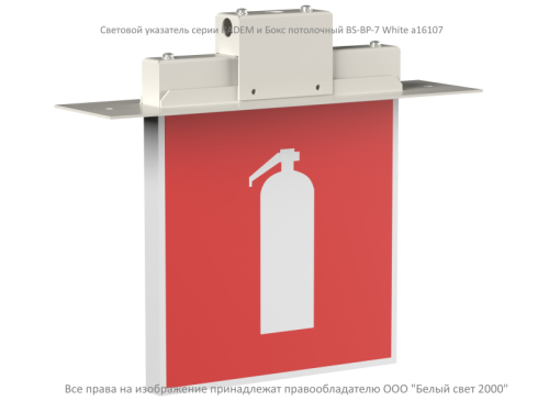Световой указатель BS-RADEM-10-S1-ELON White | код a17035 | Белый Свет фото 2