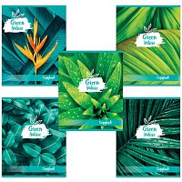 Тетрадь А5, 48 л., BRAUBERG, клетка, обложка картон, GREEN NATURE, 403033 | код 403033 | BRAUBERG