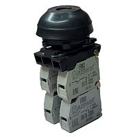 Выключатель Briswik КЕ 082/9м черный 0но+3нз Цилиндр с наружным протектором IP66 УХЛ2 10А | код aZ-DB-3Ai-0134 | Briswik