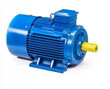 Электродвигатель 250 S2 IM 1001 76/3000 Китай (5АИ) | код 01.01.220399 | ESQ