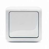 Переключатель 1-клавишный QUTEO, открытый монтаж, белый | код. 782304 | Legrand