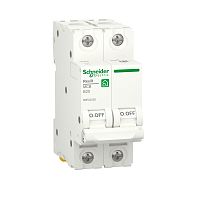 RESI9 АВТОМАТИЧЕСКИЙ ВЫКЛЮЧАТЕЛЬ (АВ) B 20А 2P 6000A | код R9F02220 | SCHNEIDER ELECTRIC
