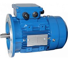 Электродвигатель 80 В4 У1, 380В, 1ExdIIBT4 Gb, IM 3081 1.5/1500 Орлан (АИМУ) | код 01.02.02.001264 | ESQ