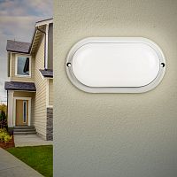 Светильник светодиодный SPB-202-0-40К-015 IP65 15Вт 4000К ОВАЛ (40/840) | код Б0047625 | ЭРА