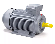 Электродвигатель 100 LA2-SDN-Б1-S12-IE2 IM B3 3/3000 Китай (ESQ PR) | код 01.05.02.000009 | ESQ