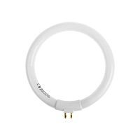 Лампа REXANT кольцевая люминесцентная, 12 Вт | код 31-0808 | REXANT