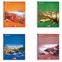 Тетрадь А5, 48 л., BRAUBERG ЭКО, гребень, клетка, обложка картон, ПРИРОДА, 401874 | код 401874 | BRAUBERG