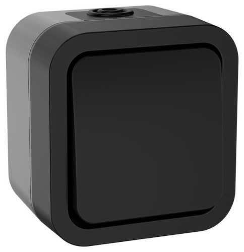 Выключатель 1-кл. ОП TORS 2п 10А IP55 TS111 графит | код TS-V16-0-10-55-K53 | IEK