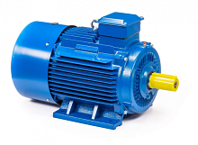 Электродвигатель 250 М8 IM 1001 45/750 Китай (5АИ) | код 01.01.213762 | ESQ
