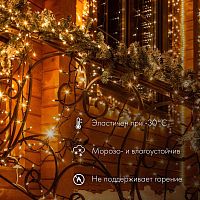 Гирлянда светодиодная "Нить" 10м 100LED красн. 12Вт 24В IP65 эффект мерцания провод ПВХ прозр. Neon-Night 305-252