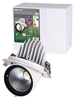 Светильник встраиваемый поворотный Акцент-1 LED DSL-01-040-WW 40 Вт, 24°, 3000 К, 90 Ra, IP40, TDM | код SQ0369-0402 | TDM