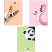 Тетрадь А4 96 л. HATBER скоба, клетка, матовая ламинация, Кто здесь? (4 вида), 96Т4лВ1 | код 113128 | HATBER