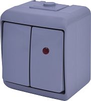 Выключатель 2-клавишный с подсветкой (серый) (IP54) VHE-2L-SR | код 004668067 | ETI