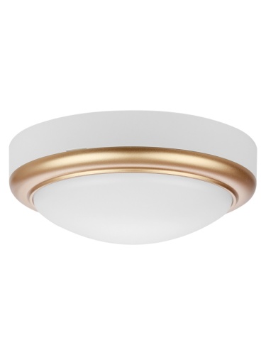 Светильник накладной LED ДПО Антарес 15Вт 6500К круг 180*66 мм мат.золото IP54 TDM | код SQ0354-0026 | TDM Светильник накладной LED ДПО Антарес 15Вт 6500К круг 180*66 мм мат.золото IP54 TDM | код SQ0354-0026 | TDM