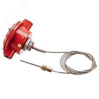 Извещатель тепловой взрывозащищенный высокотемпературный ИП101-07вт -D, без кабельных вводов | код ER001000002761-0000 | Эридан