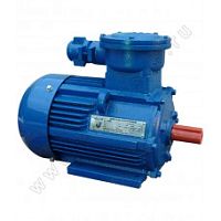 Электродвигатель 100 S4 У1, 380В, 1ExdIIBT4 Gb, IM 1081 3/1500 Орлан (АИМУ) | код 01.02.02.000126 | ESQ