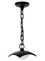 Светильник садово-парковый LED СИТИ ДСУ 07-08-001 У1 8 Вт 230 В 6500 К подвесной черный TDM | код SQ0330-1334 | TDM