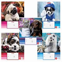 Тетрадь 24 л. BRAUBERG линия, обложка картон, ЗАБАВНЫЕ ЩЕНКИ , 403585 | код 403585 | BRAUBERG