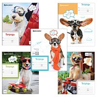 Тетрадь 24 л. BRAUBERG, клетка, обложка картон, MY BEST FRIEND, 403007 | код 403007 | BRAUBERG