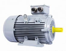 Электродвигатель 160 L2-SDN-Б1-S12-IE2 IM B3 18.5/3000 Китай (ESQ PR) | код 01.05.02.000021 | ESQ