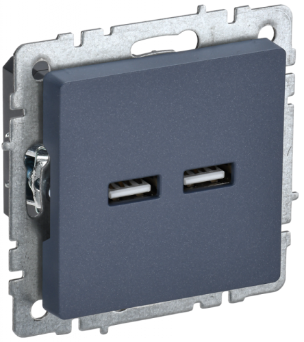 BRITE Роз. USB A+A 3,1А РЮ10-1-БрМ мар. IEK | код BR-U21-D31-K35 | IEK