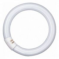 Лампа линейная люминесцентная ЛЛ L 40W/840 C G10Q 12X1 | код. 4050300014845 | OSRAM