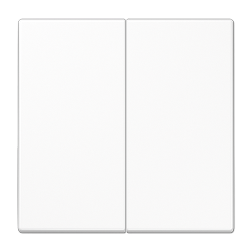 Клавиша 2-я для выключателей и кнопок без подсветки. Серия LS990 Материал- дуропласт Цвет- белый | код LS995WW | JUNG Клавиша 2-я для выключателей и кнопок без подсветки. Серия LS990 Материал- дуропласт Цвет- белый | код LS995WW | JUNG