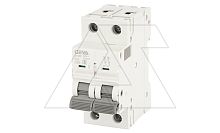Авт. выключатель GYM9-2P-10D, 2P, 10A, хар-ка D, 6kA, 2M | код GYM92P10D | GEYA