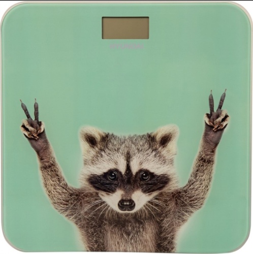 Весы напольные электронные Hyundai H-BS03589 макс.180кг мятный | код 2020266 | HYUNDAI