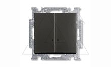 Basic 55 - Выключатель двухклавишный с подсветкой (шато-черный, блистер) | код 1012-0-2178-00.00-01.01-01.00 | ABB