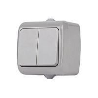 Выключатель Intro Atlantic 5-104-03 двойной, 10А-250В, IP54, открытой установки, серый | код Б0050943 | ЭРА