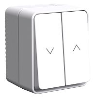 ATLASDESIGN PROFI IP54 2-клавишный ВЫКЛЮЧАТЕЛЬ ДЛЯ ЖАЛЮЗИ, 2хсх.4, БЕЛЫЙ | код ATN540119 | Systeme Electric