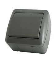 Выключатель 1-кл. открытой установки IP44 10А серый Селигер TDM | код SQ1818-0101 | TDM