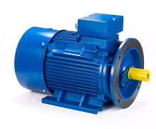 Электродвигатель 225M2-SDN- IM B35 45/3000 Китай (ESQ) | код 01.05.01.222868 | ESQ